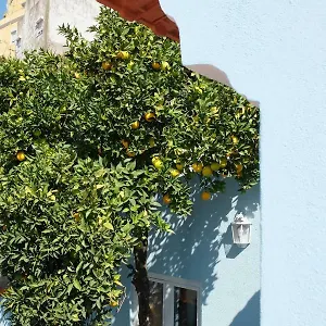 Proa D'alfama Lisboa